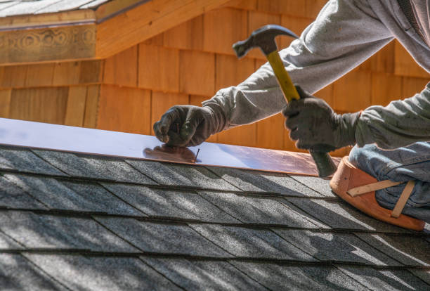 Best Metal Roofing Installation  in Lake Ridge, VA