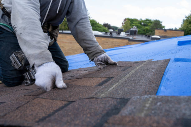 Roof Coating Services in Lake Ridge, VA