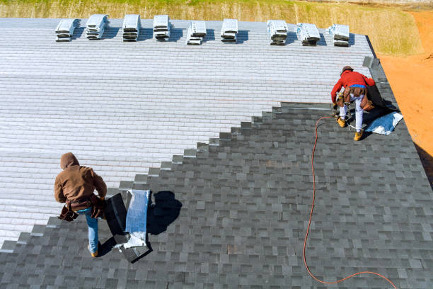 Best Emergency Roof Repair Services  in Lake Ridge, VA