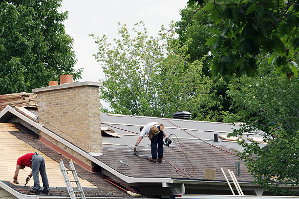 Best Roof Leak Repair  in Lake Ridge, VA