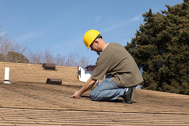 Best Roof Maintenance and Cleaning  in Lake Ridge, VA