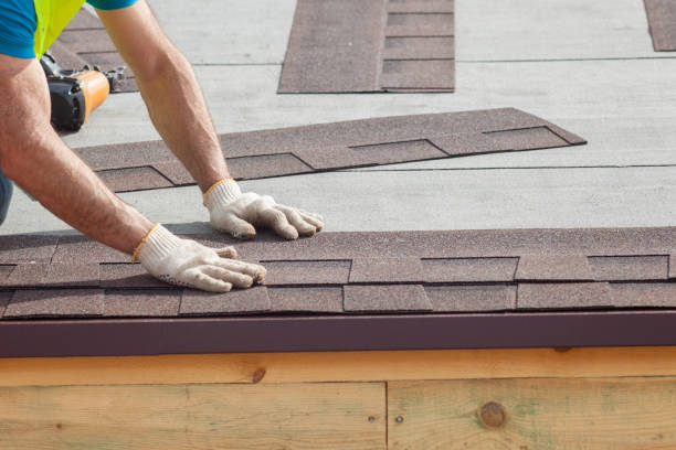Best Rubber Roofing (EPDM, TPO)  in Lake Ridge, VA